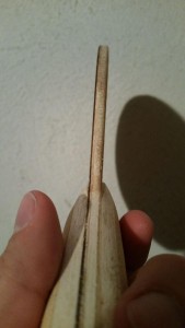 BAK D93_5.jpg