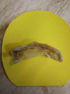 der Latexbollen ca. 10 g