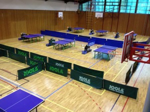 halle1/3
