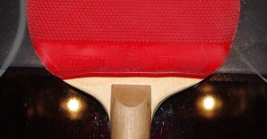 5) Vorsichtig naehern sie sich einander an - zunaechst aber noch sehr schuechtern ...