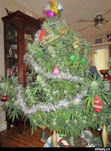 hanf-weihnachtsbaum.jpg